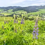 Käppeleblick Bernau im Schwarzwald