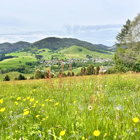 Kaeppeleblick 公寓 *