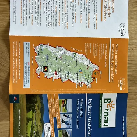 Διαμέρισμα Kaeppeleblick Bernau im Schwarzwald