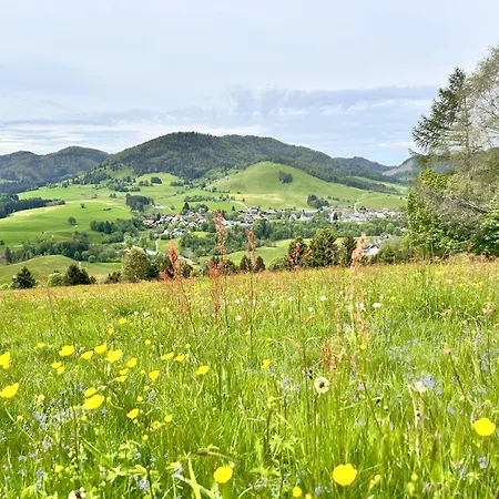 Apartament Kaeppeleblick Bernau im Schwarzwald